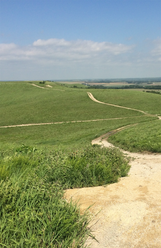 Kanza Prairie Manhattan Kansas
